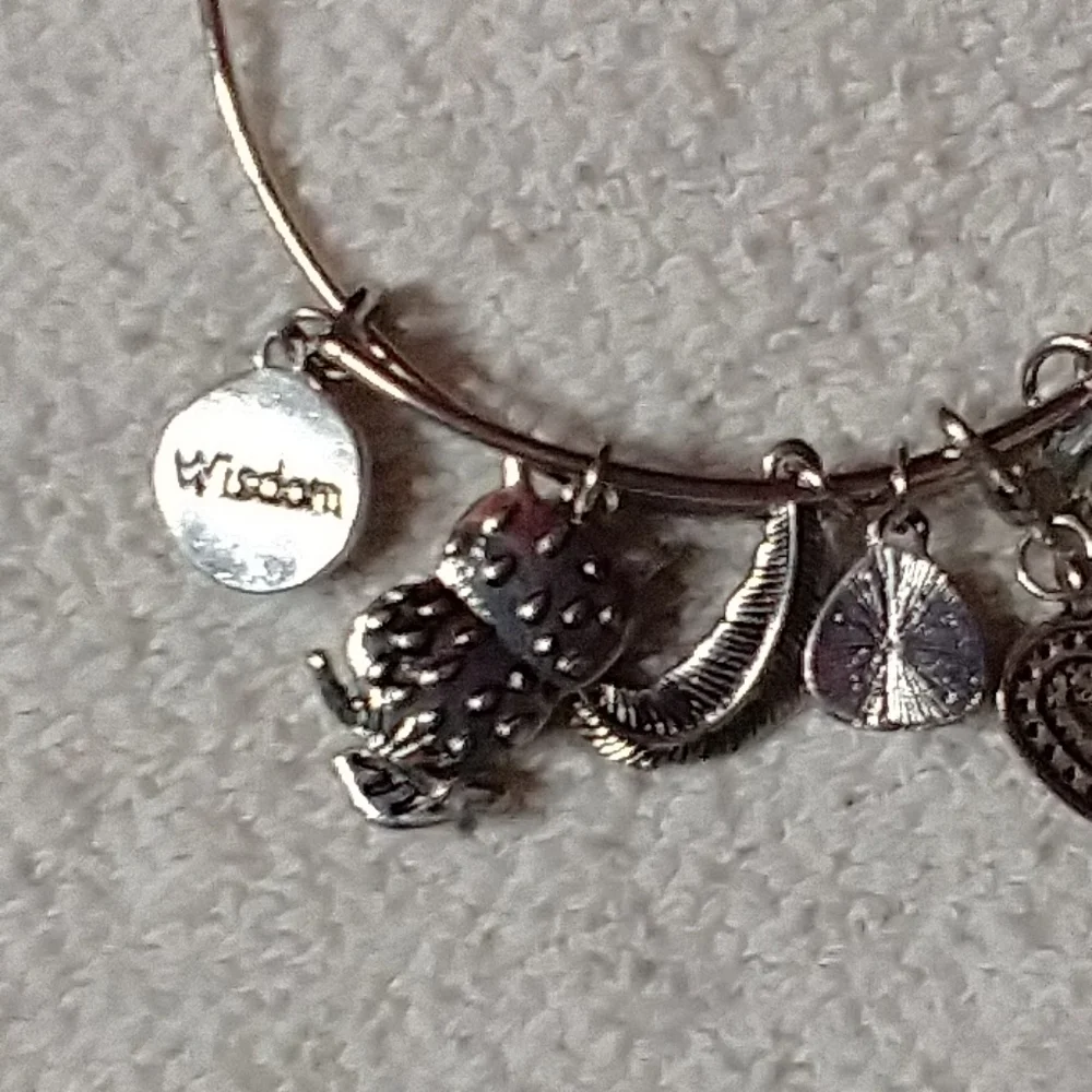Silvertone wisdom owl faux turquoise feather heart cross charm bracelet